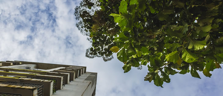 Materiales de construcción de menor impacto ambiental: qué opciones están ganando atención