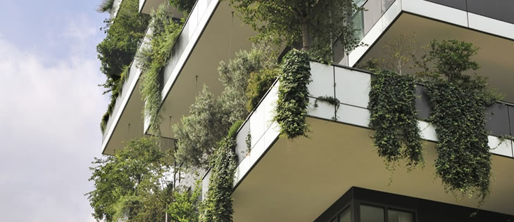 Balcones verdes: diseño y mantenimiento